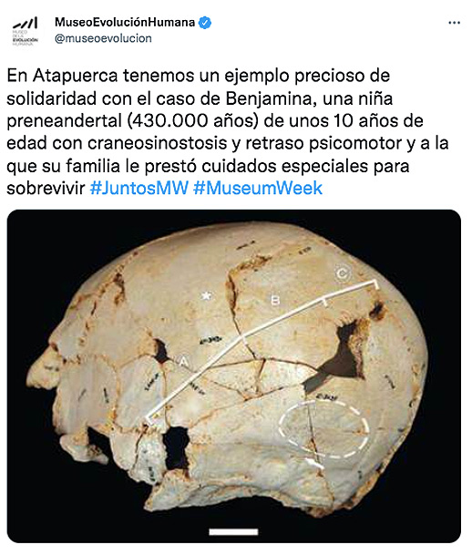 cráneo de Benjamina hallado en la Sima de los Huesos