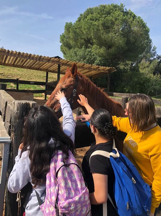 Chicos con discapacidad acariciando un caballo en los campamentos inclusivos